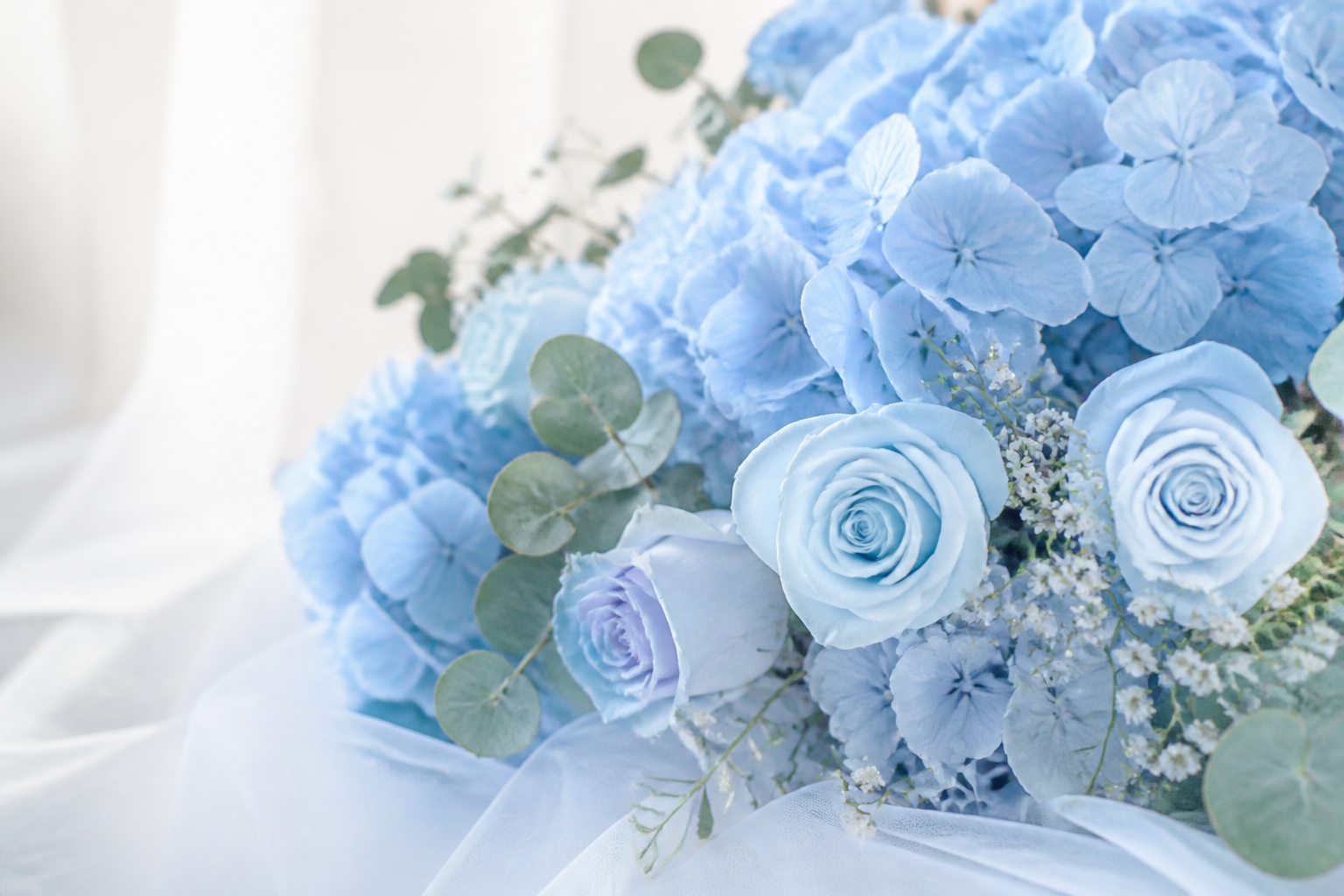 Soft light blue flowers